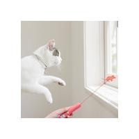 China Interactive Light Cat Toys For Indoor Pet Training Tool Laser Pointer factory
