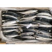 China Fresh Healthy Horse Mackerel 90g 100g Frozen Fishing Bait for sale