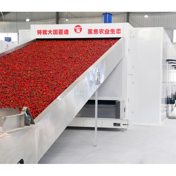 Quality SGS Fruit Red Jujube Goji Berry Continuous Belt Dryer Machine Large Capacity for sale
