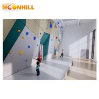 Quality Theme Park Skid Proof Kids Climbing Wall Outdoor Indoor Fitness Rock Climbing for sale