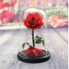 China Wholesale New Design Preserved flower  Eternal Rose in Glass Home Decoration factory