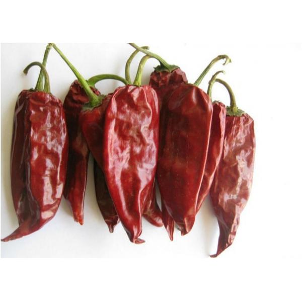 Quality Raw Yidu Chili Zero Additive 2000 Scoville Long Dry Red Chilli for sale