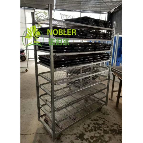 Quality Dutch Flower Display Trolley for sale