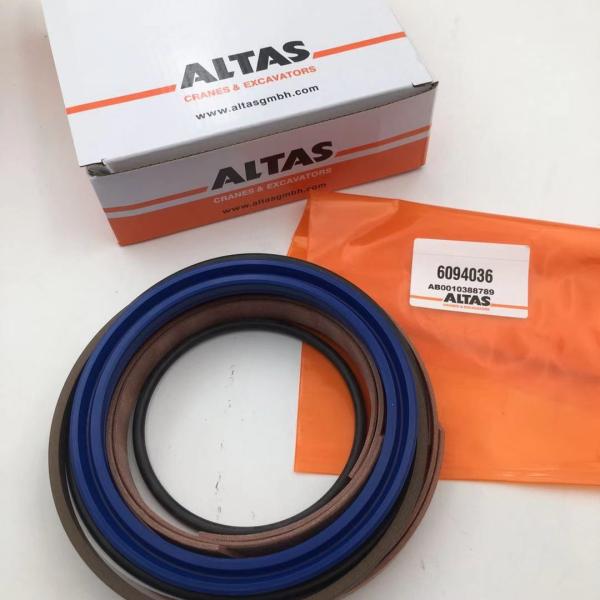 Quality 6094036 AB0010388789Atlas Hydraulic Hyd Cylinder Repair Kits  OEM ODM for sale