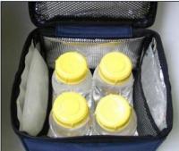 China sell thermal ice packs,insulated ice packs,breast milk cooler bag(SK-BD250 super cold pack) factory