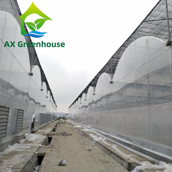 Quality ODM Transparent Polycarbonate Plastic Film Greenhouse Side Top Ventilation Greenhouse for sale