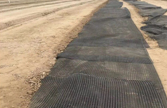 Quality PET Plastic Geotextile Geogrid Road Construction 120kn for sale