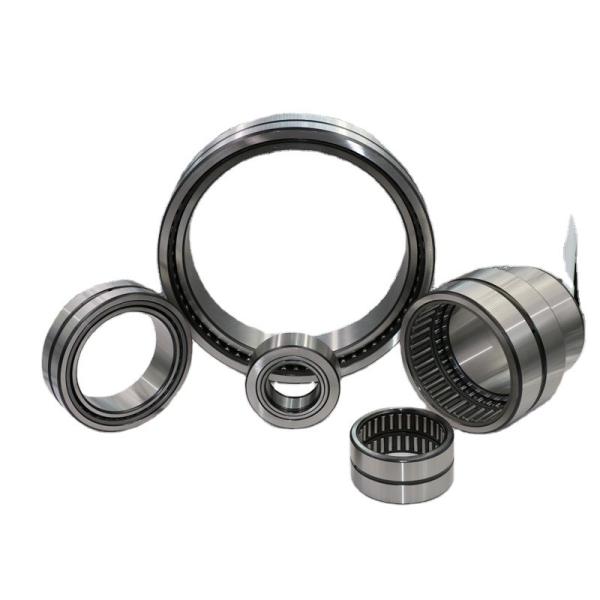 Quality Brass Cage 10mm Needle Roller Bearing Double Ribs for sale