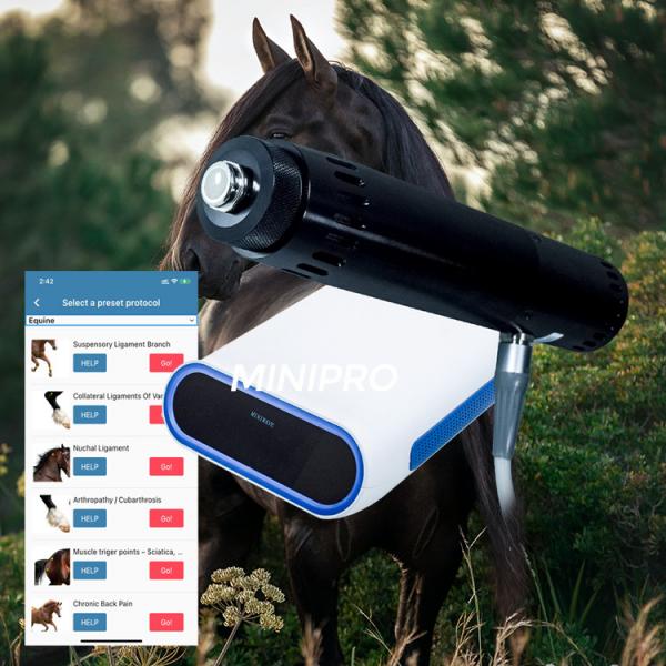 Quality Race Horses Relax 	Equine Shockwave Machine For Soft Tissue Injuries for sale