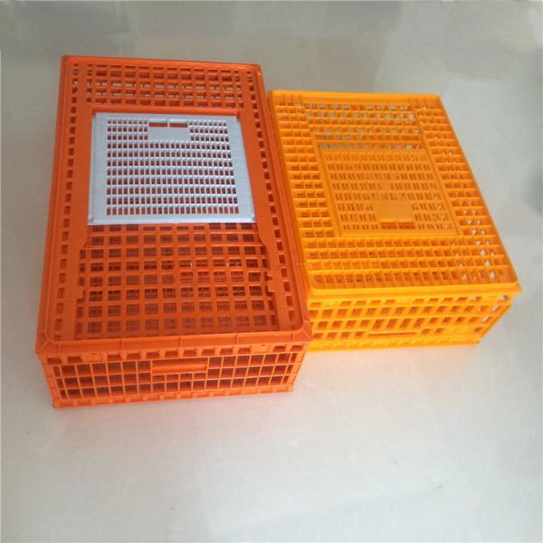 Manufacturer supply plastic poultry chicken cage for transport high quality breeding products