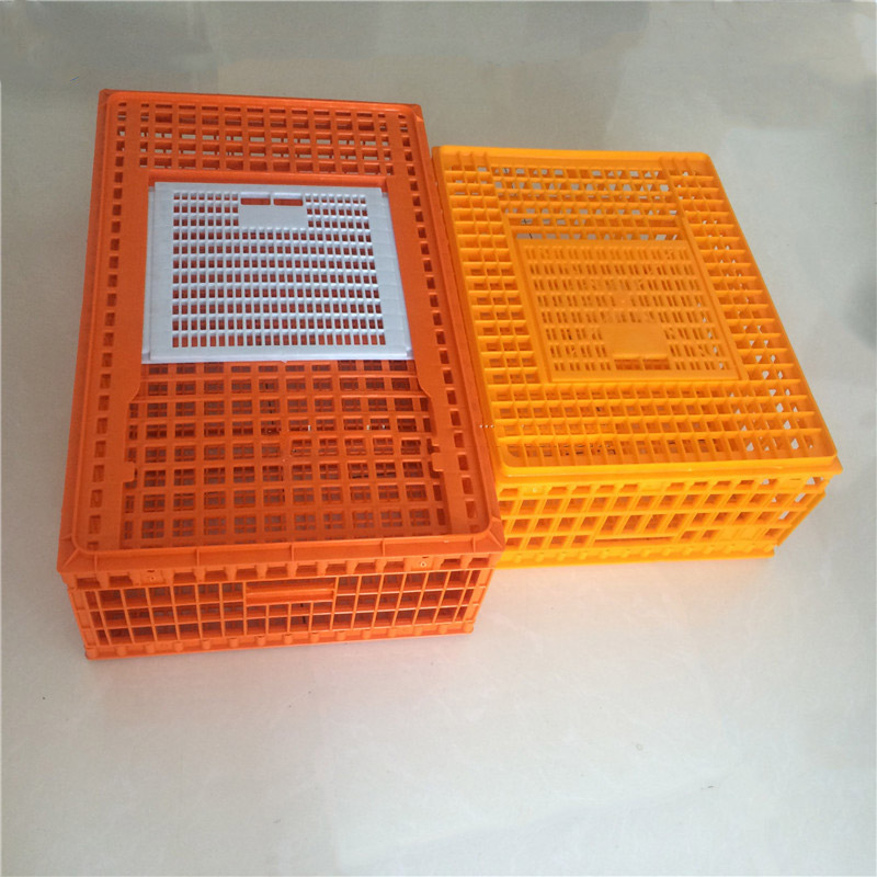 Manufacturer supply plastic poultry chicken cage for transport high quality breeding products