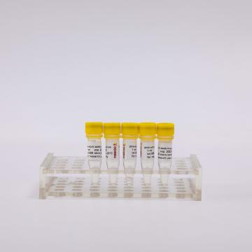 Quality 2019-NCoV-AbEN Pseudovirus 1ml Nucleic Acid Extraction Kit for sale