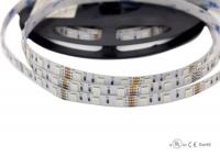 China SMD 5050 Flexible LED RGB Strip Lights , 24V / 12 Volt Strips factory