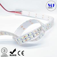 China DC12V 24V LED 2835 Strip Light RGB RGBW IP20 IP65 IP68 Waterproof With CCT Dimming Control For Indoor Outdoor Lighting for sale