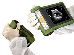 Quality Hand Held Animal Full Digital Ultrasound Scanner Small Ultrasound Machine for sale