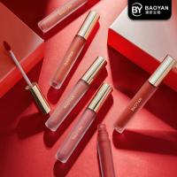 China Unlabeled Multi Color Matte Lip Gloss Cosmetic Bulk Beauty Lip Care factory