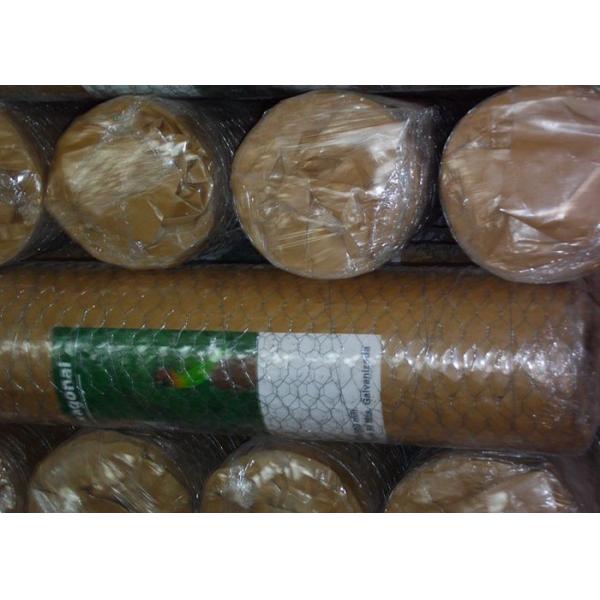 Quality PVC Coated or Galvanized Hexagonal Chicken Wire Mesh for Poultry for sale