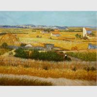 China Yellow Vincent Van Gogh Oil Paintings Harvest Oil Painting On Canvas factory