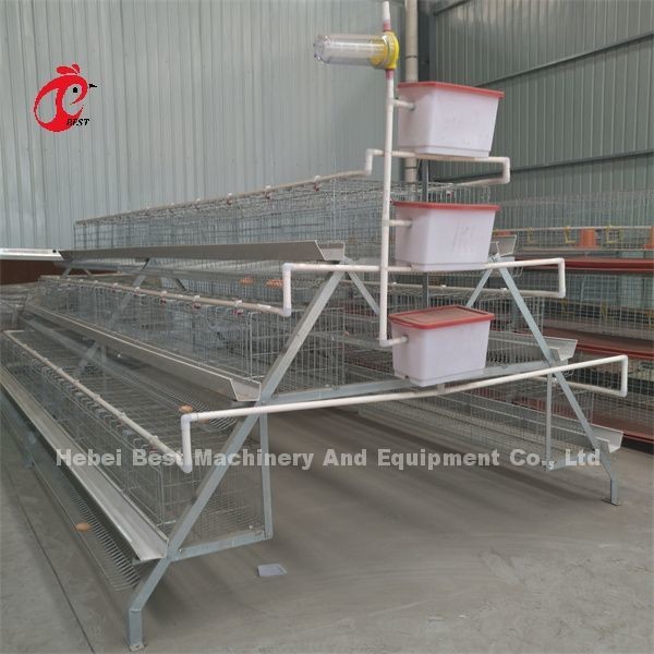 Quality High Stability Poultry Battery Cage System Layer Hens In Africa ISO9001 Emily for sale
