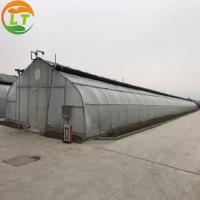 China Film Covered Mushroom Cultured Greenhouse for Mushroom Cultivation and Easy Assembly factory