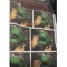 China Very soft lenticular TPU lens fabric clothing – Special Effects and Coatings 3d printing flip lenticular fabric factory