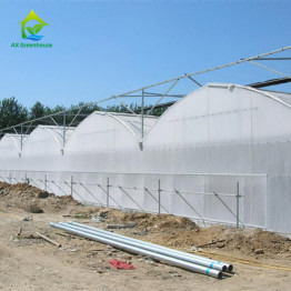 Quality OEM Agricultural PC Sheet Greenhouse for sale