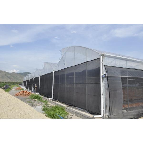 Quality Agricultural Tomatoes Saw Tooth Greenhouse 8-12m Span Polyethylene Film for sale