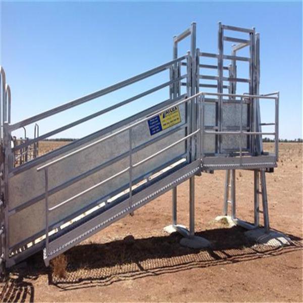 Quality 3.2 M Fixed Cattle Loading Ramp Portable Cattle Loading Ramp For Sheep Goats for sale