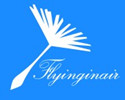 China Flying In Air Co., Ltd logo