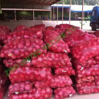 china hot sale, Fresh onion, high quality RED onion