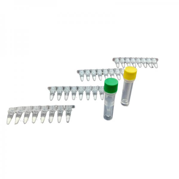 Quality Amp Future Isothermal Amplification Kit RNA Detection Freeze Dried High Specificity for sale