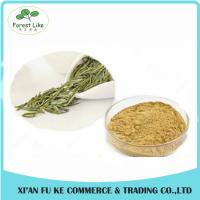 China Health-care Product Instant Tea Powder Pure Natural White Tea Extract with Polyphenols factory