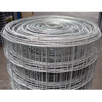 Quality Galvanized Hardware Heavy Duty Weld Mesh Cloth With Size Of 1/4 Inch - 6 Inch for sale