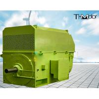 Quality 400kw to 6000kw IP23 IP54 IP55 Electric Induction High Voltage AC Motors For for sale