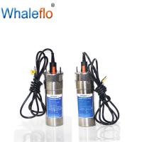 China Whaleflo 12L/M 12Volt Submersible Water Well Solar Pump For livestock factory