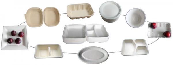 Biodegradable disposable paper plate pulp tableware lunch box paper food container food box making machine