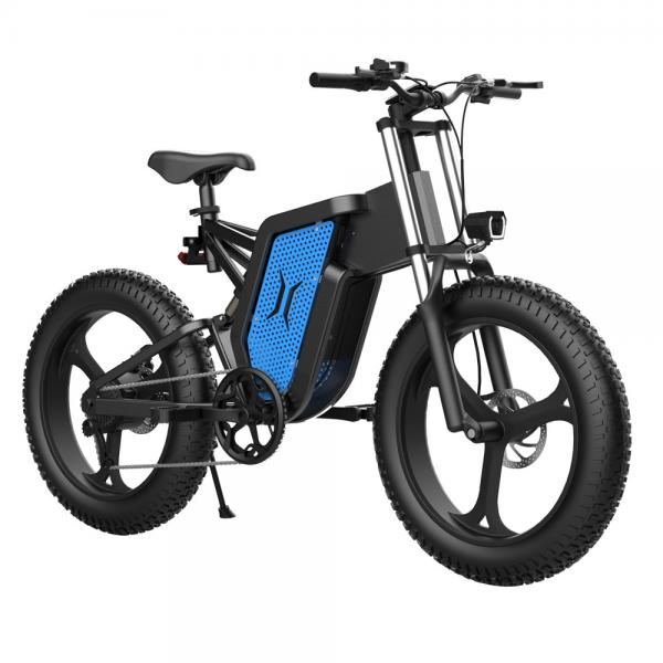Quality Long Endurance 60km Emtb Fat Bike Unisex Electric Fat Tyre Bicycle for sale