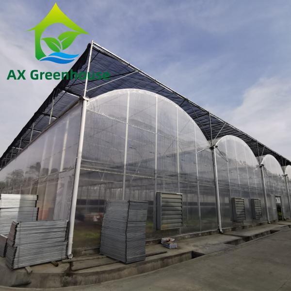 Quality Strawberries Plastic Film Greenhouse for sale
