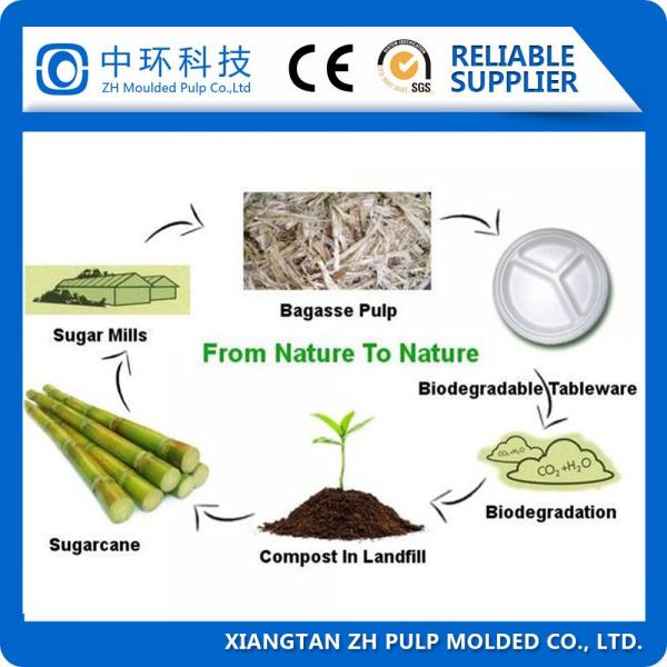 Quality Auto Sugarcane Plate Making Machine Fiber Raw Material For Paper Lid for sale