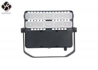 China 100W Outdoor Modular LED Tunnel Flood Lights Meanwell Driver Landscape Lighting factory