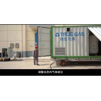 China Container skid mobile nitrogen gas generator for grain depot with nitrogen purity 99.5% factory