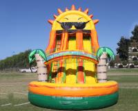 China Sunshine Inflatable Water Slide Blow Up Bounce For Backyard factory