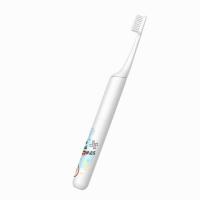 Quality Rechargeable Adult Electric Toothbrush Smart Timer Ultrasonic Whitening for sale