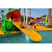 Quality Fiberglass Water Park Splash Pad Frog Small Swimming Pool Slide For Children for sale