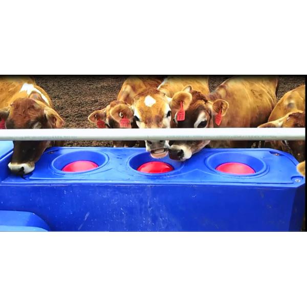 Quality ISO9001 LLDPE L4000mm 220L Livestock Water Tank for sale