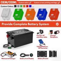 China OEM ODM LiFePO4 Customized Golf Cart Lithium Battery Pack Lithium Ion Battery 48V factory
