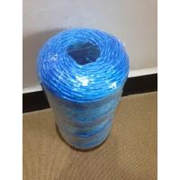 China High Breaking Strength and UV Treated PP Baler Twine , Agriculture Pp Twine factory