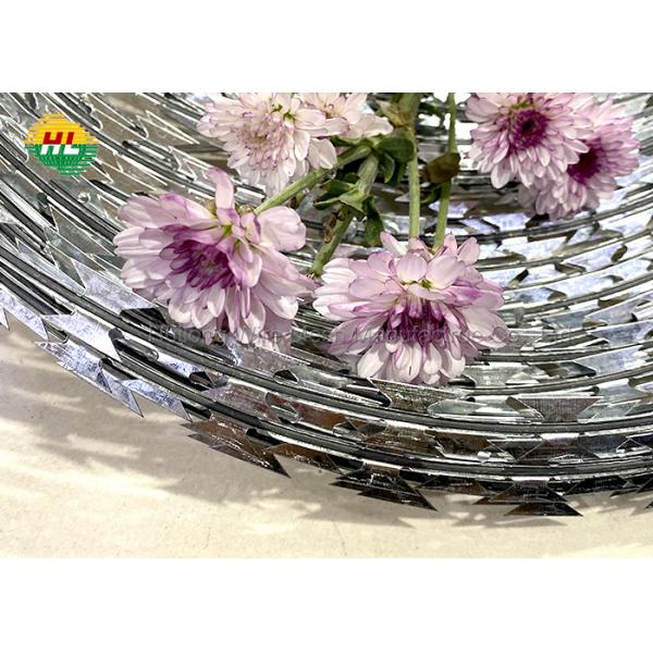 Quality 304 Stainless Steel Concertina Barbed Wire Anti Thief ASTM EN standard for sale