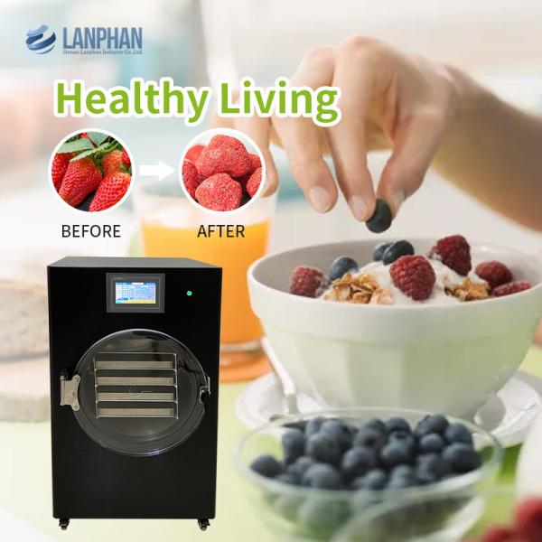 Quality Fruits Vegetables Vacuum Freeze Dryer Home Digital Control Lyophilizer for sale