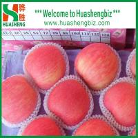 China 2016 Chinese Fresh Fuji Apples factory